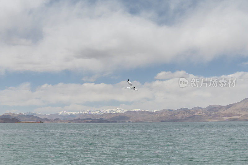 青海的风景stock photo